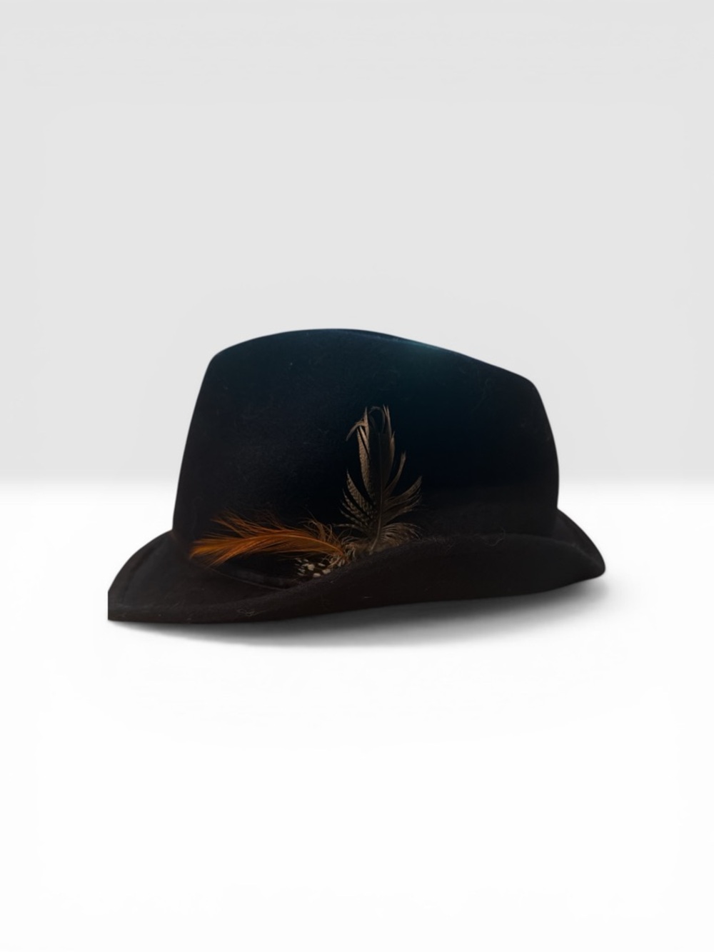 J Crew Black Wool Fedora with Decorative Feathers